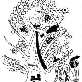 Strichzeichnung eines Baumes, unter dem eine Schlange ist. Punkte und Zahlen im Baum sind zu verbinden.